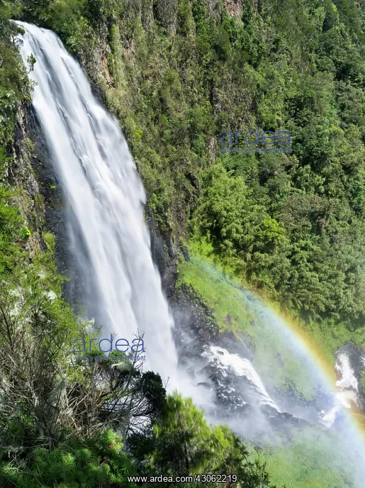 : Karura Falls tumbles more than 300m into : Karura Falls tumbles more than 300m into