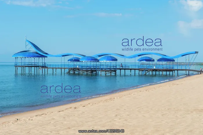 : Karven resort beach, Issyk Kul lake, Kyrgyzstan : Karven resort beach, Issyk Kul lake, Kyrgyzstan