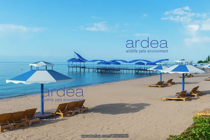: Karven resort beach, Issyk Kul lake, Kyrgyzstan : Karven resort beach, Issyk Kul lake, Kyrgyzstan