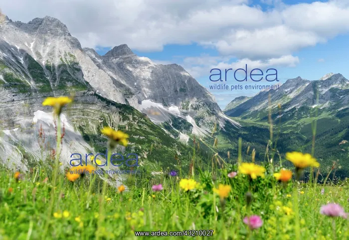 : Karwendel Mountain Range between Johannestal : Karwendel Mountain Range between Johannestal