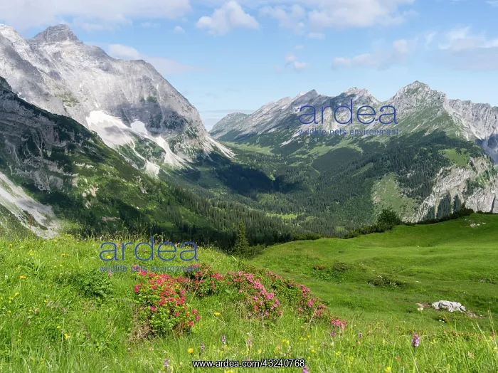 : Karwendel Mountain Range between Johannestal : Karwendel Mountain Range between Johannestal