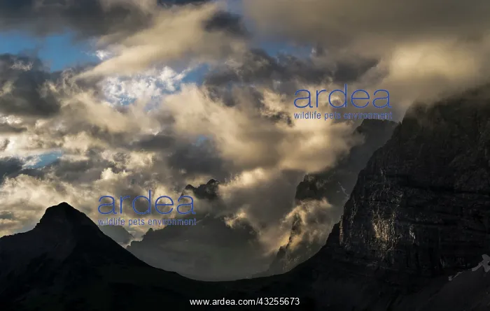 : Karwendel Mountain Range between Johannestal : Karwendel Mountain Range between Johannestal
