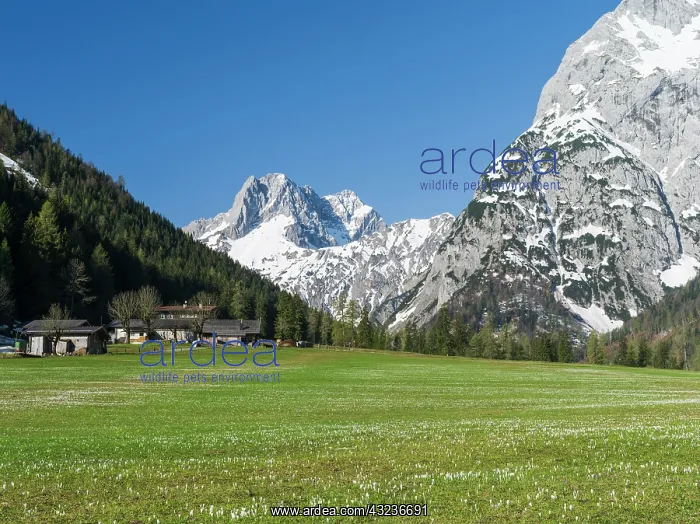 : The Karwendel Mountain Range near Gramai : The Karwendel Mountain Range near Gramai