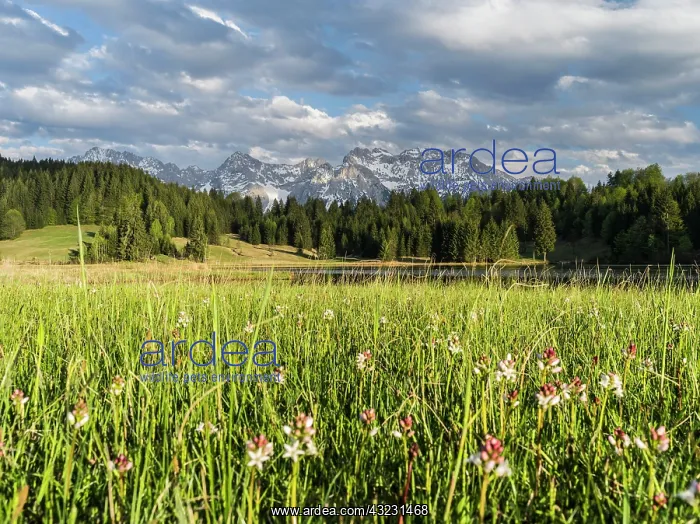 : The Karwendel Mountain Range near Mittenwald : The Karwendel Mountain Range near Mittenwald