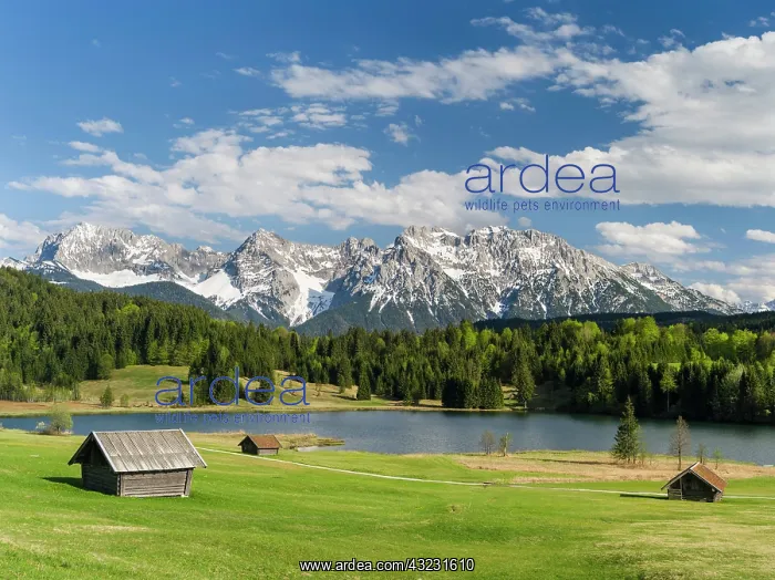 : The Karwendel Mountain Range near Mittenwald : The Karwendel Mountain Range near Mittenwald