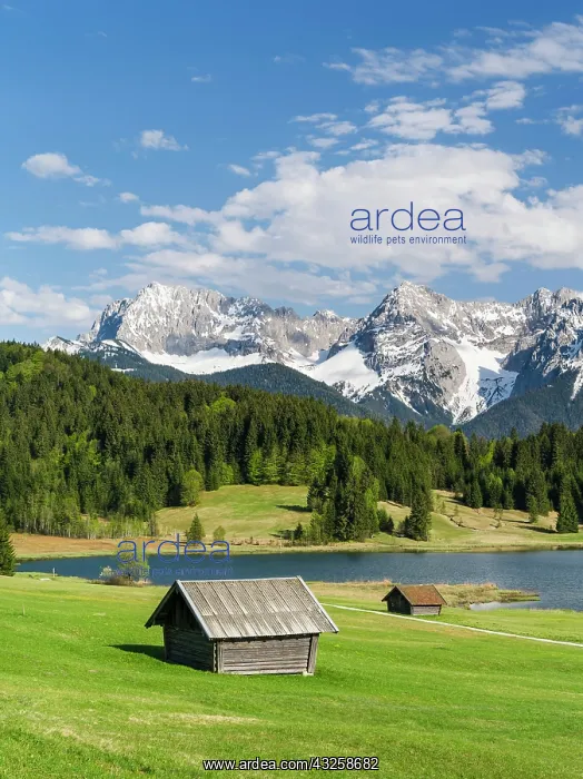 : The Karwendel Mountain Range near Mittenwald : The Karwendel Mountain Range near Mittenwald