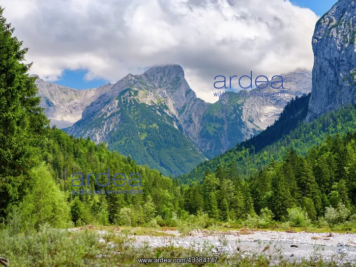 : Karwendel Mountains near Eng Alpe in the valley : Karwendel Mountains near Eng Alpe in the valley