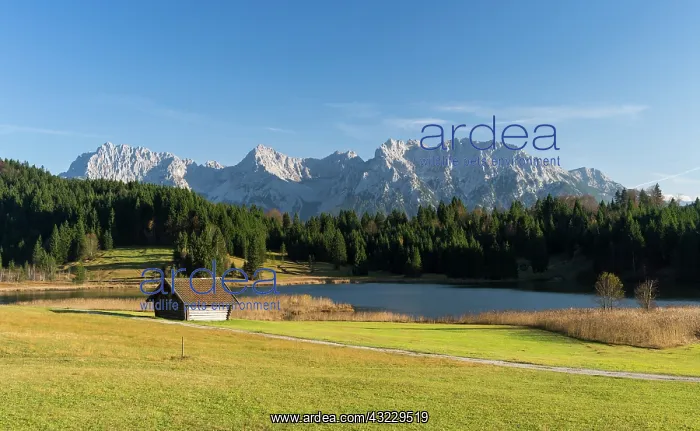 : Karwendel range near Mittenwald and lake : Karwendel range near Mittenwald and lake