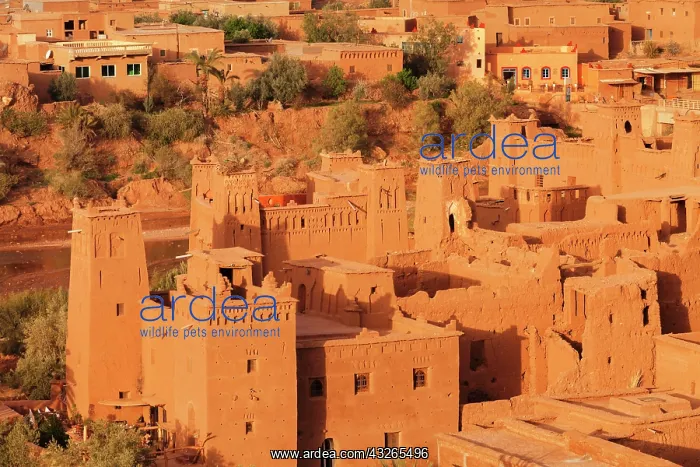 : Kasbah Ait-Benhaddou, UNESCO World Heritage Site : Kasbah Ait-Benhaddou, UNESCO World Heritage Site