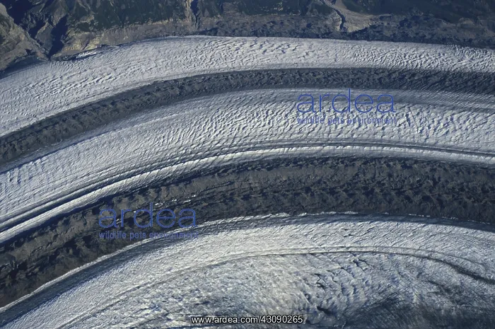 : Kaskawulsh Glacier : Kaskawulsh Glacier