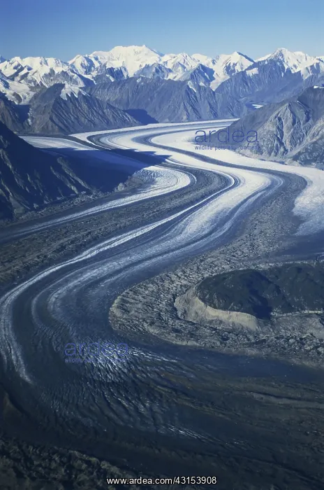 : Kaskawulsh Glacier : Kaskawulsh Glacier