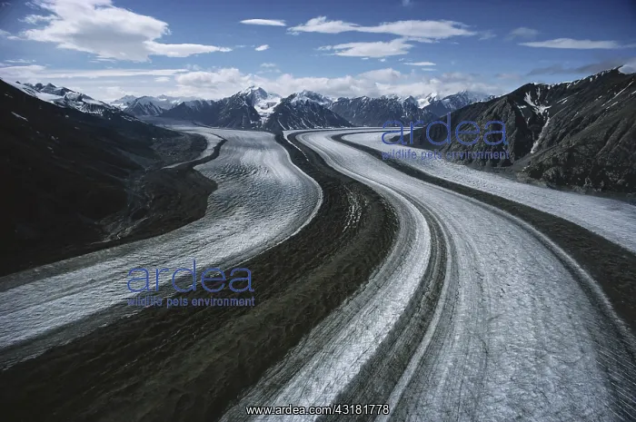 : Kaskawulsh Glacier : Kaskawulsh Glacier