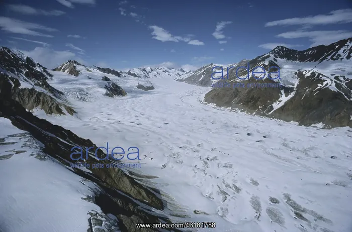 : Kaskawulsh Glacier : Kaskawulsh Glacier