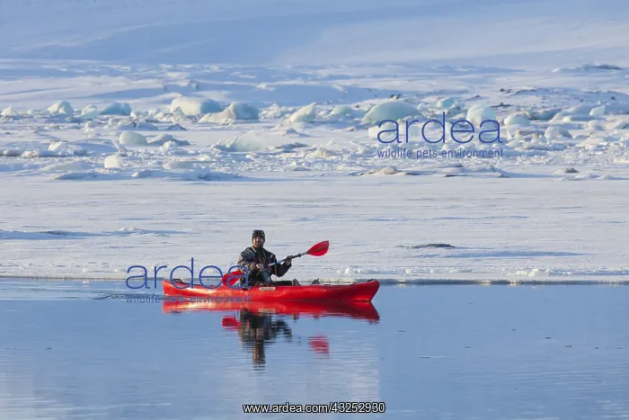 : Kayak at Joekulsarlon glacier lagoon in winter - Iceland : Kayak at Joekulsarlon glacier lagoon in winter - Iceland