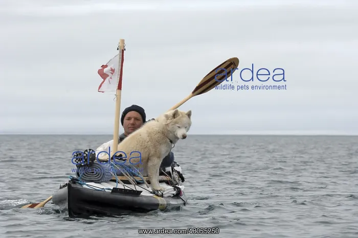 : Kayaker and his dog Stanwell Fletcher Lake Somerset Island : Kayaker and his dog Stanwell Fletcher Lake Somerset Island
