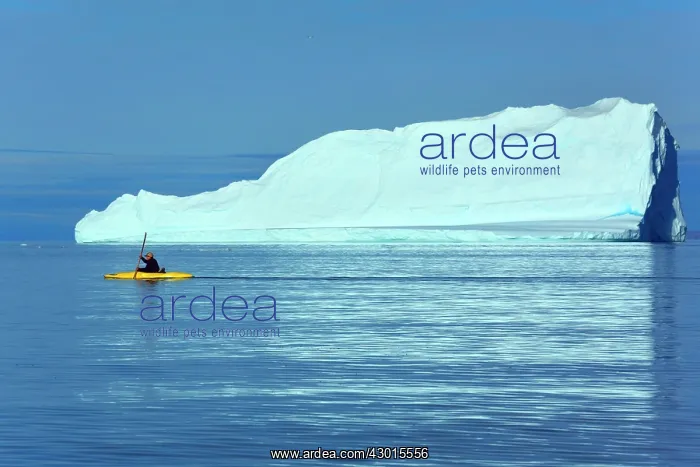 : Kayaker tourist kayaking between melting : Kayaker tourist kayaking between melting