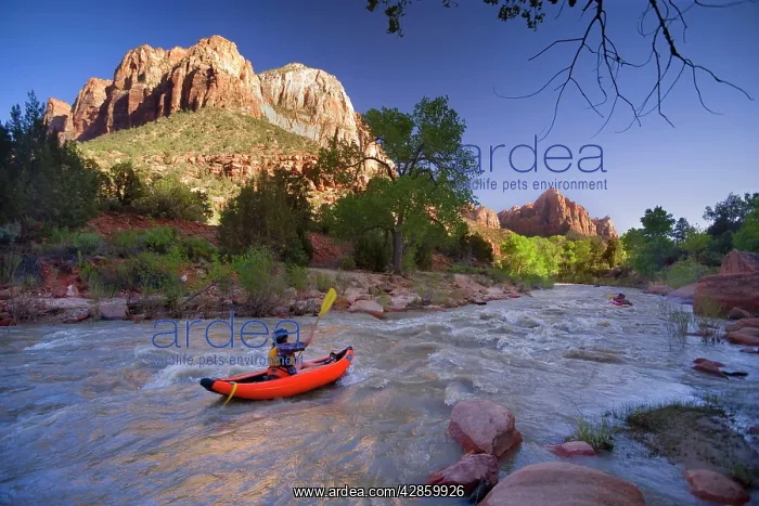 : Kayaking the Virgin River - passing The Watchman mountain : Kayaking the Virgin River - passing The Watchman mountain