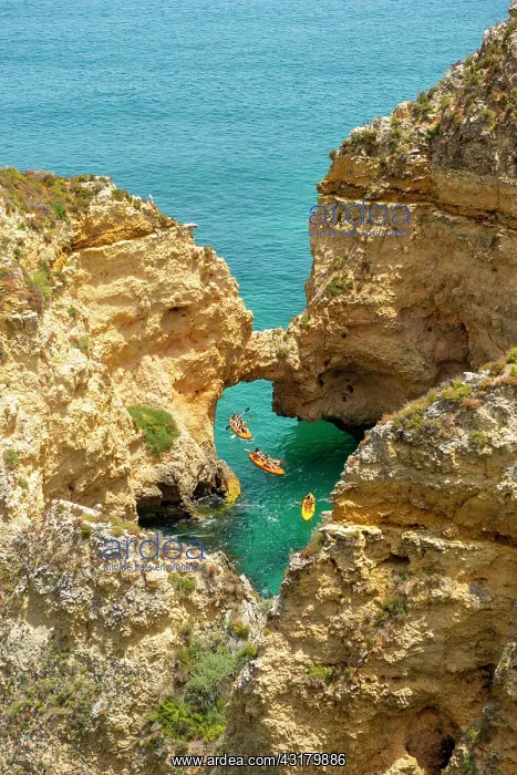 : Three kayaks in the turquoise sea sailing through : Three kayaks in the turquoise sea sailing through