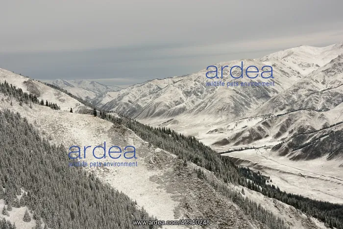 : Kazakhstan - Snow covered mountain landscape : Kazakhstan - Snow covered mountain landscape