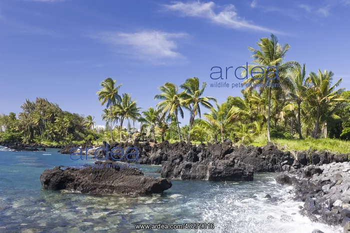 : Keanae Point an der Strasse nach Hana, Maui, Hawaii : Keanae Point an der Strasse nach Hana, Maui, Hawaii