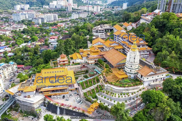 : Kek Lok Si Temple aerial view on Penang Island : Kek Lok Si Temple aerial view on Penang Island