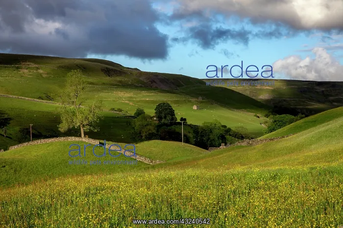  : Keld - Yorkshire Dales - UK