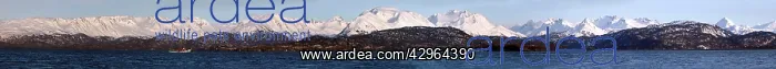  : Kenai peninsula