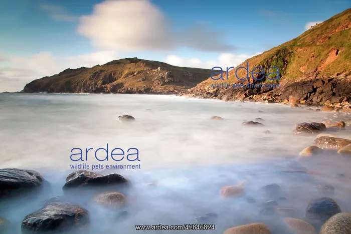 : Kenidjack Valley taken from Cape Cornwall : Kenidjack Valley taken from Cape Cornwall