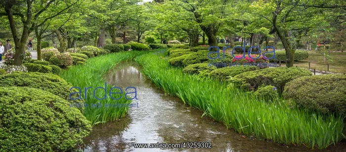 : Kenroku-en garden during azalea bloom, Kanazawa : Kenroku-en garden during azalea bloom, Kanazawa