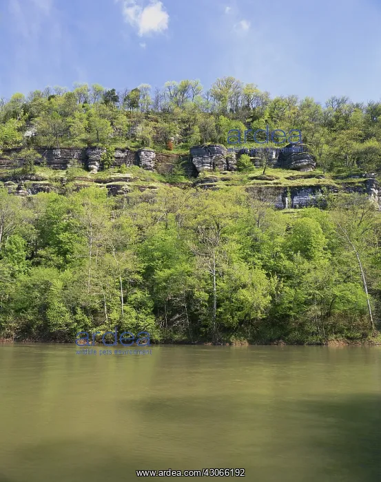 : Kentucky River Palisades : Kentucky River Palisades
