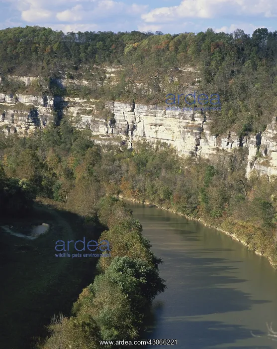 : Kentucky River Palisades : Kentucky River Palisades