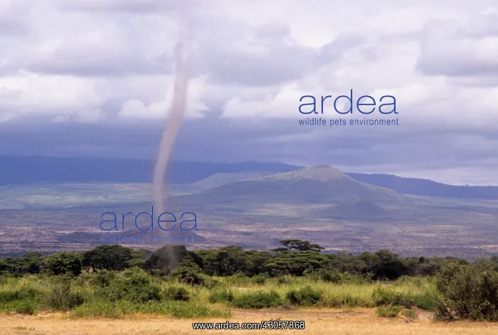 : Kenya, Amboseli. Dust devil on plain below : Kenya, Amboseli. Dust devil on plain below