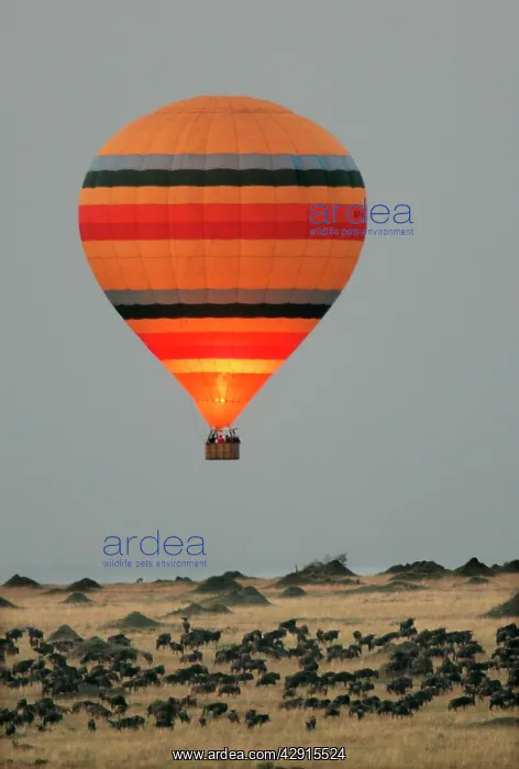 : Kenya - Hot air balloon, over savannah : Kenya - Hot air balloon, over savannah