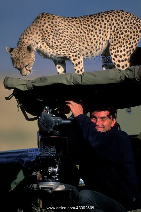 : Kenya, Masai Mara Game Reserve, Adult Female : Kenya, Masai Mara Game Reserve, Adult Female