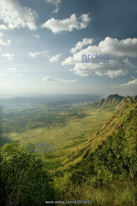 : KENYA - Rift Valley near town of Maralal : KENYA - Rift Valley near town of Maralal