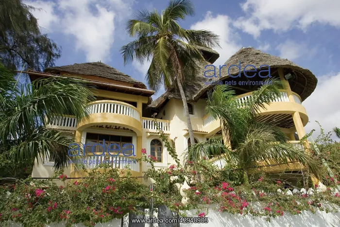 : Kenya - Traditional style thatched house on waterfront : Kenya - Traditional style thatched house on waterfront