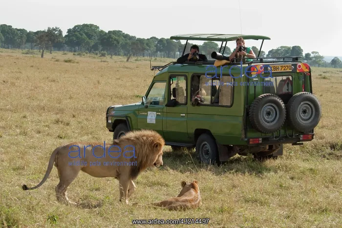  : Kenya, No Water No Life Mara River Expedition