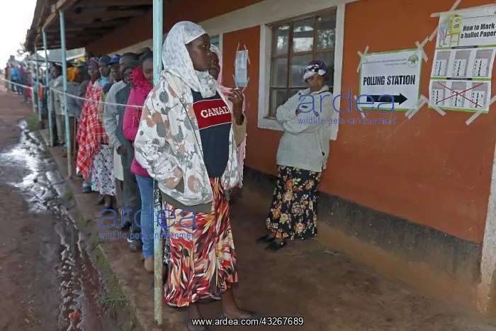 : Kenyan election, August 8, 2017, near Kitale Kenya : Kenyan election, August 8, 2017, near Kitale Kenya