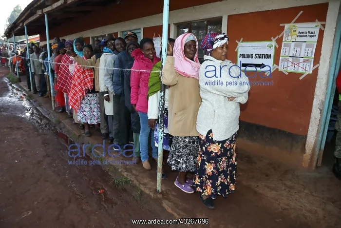 : Kenyan election, August 8, 2017, near Kitale Kenya : Kenyan election, August 8, 2017, near Kitale Kenya