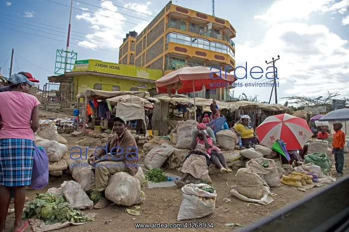 : Kenyan market traders outside Kamere township, Naivasha : Kenyan market traders outside Kamere township, Naivasha