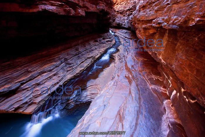 : Kermit's Pool - a stream is flowing down Hancock : Kermit's Pool - a stream is flowing down Hancock