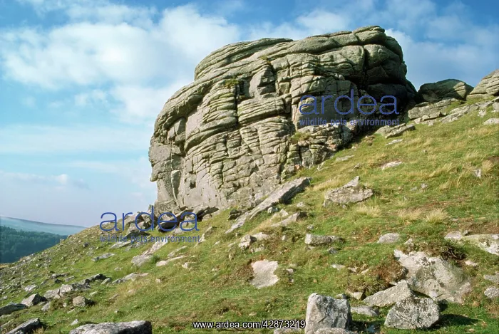  : Kes Tor. Chagford, Dartmoor, Devon, UK