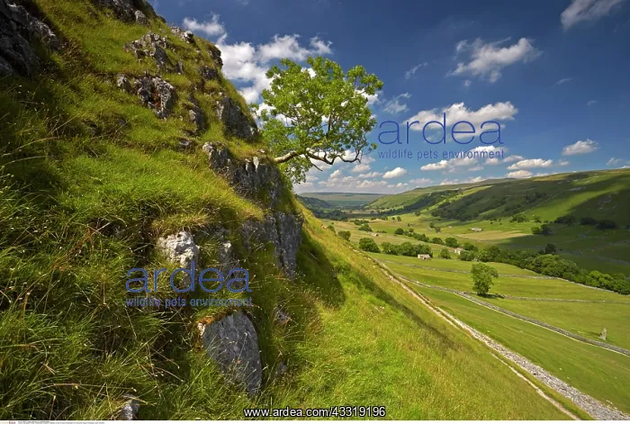 : Kettlewell, A view of Upper Wharfedale from above : Kettlewell, A view of Upper Wharfedale from above