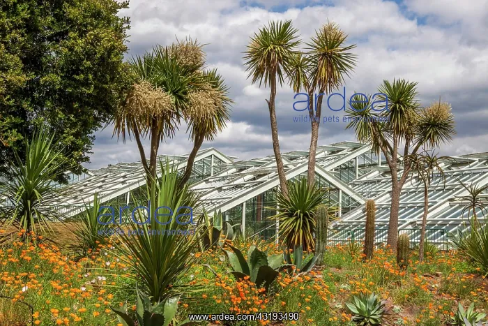 : Kew Gardens. Prince of Wales Conservatory : Kew Gardens. Prince of Wales Conservatory