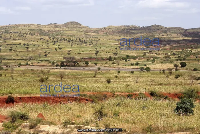  : Key Afer - Amo Kofa area - South Ethiopia