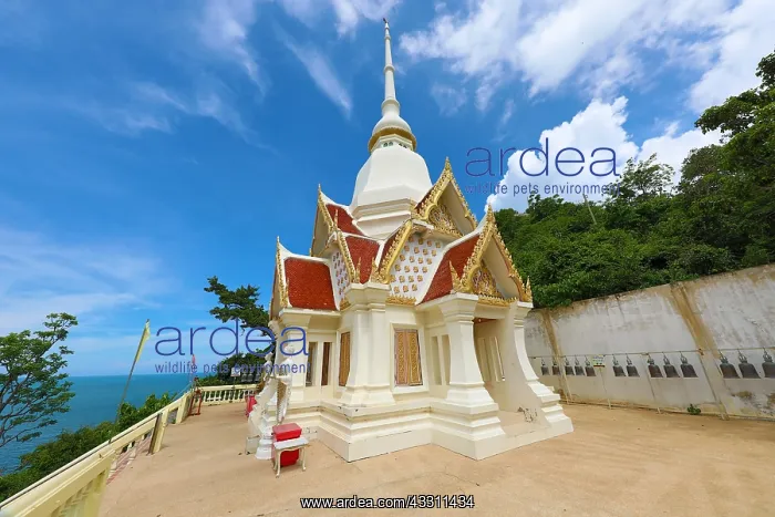 : Khao Takiab Temple on Chopsticks Hill, Hua Hin, Thailand : Khao Takiab Temple on Chopsticks Hill, Hua Hin, Thailand