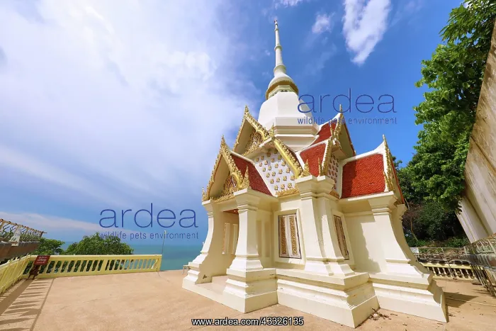  : Khao Takiab Temple on Chopsticks Hill, Hua Hin, Thailand