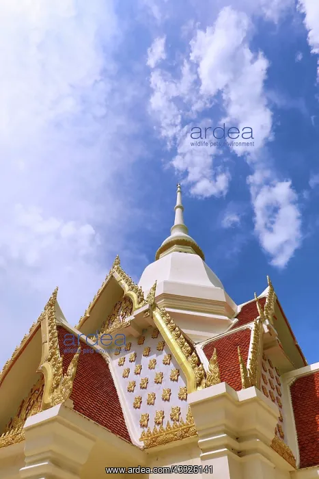 : Khao Takiab Temple on Chopsticks Hill, Hua Hin, Thailand : Khao Takiab Temple on Chopsticks Hill, Hua Hin, Thailand