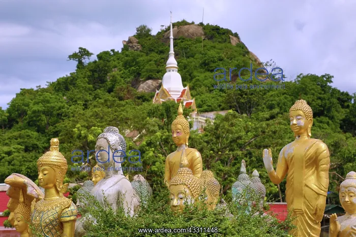 : Khao Takiab Temple on Chopsticks Hill with Buddha : Khao Takiab Temple on Chopsticks Hill with Buddha