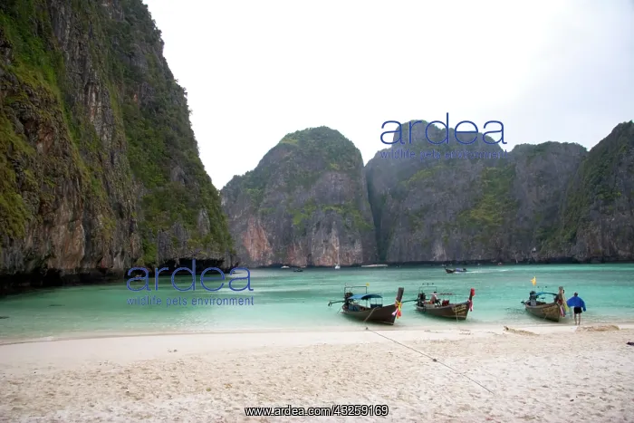 : Kho Phi Phi - Maya Bay, Thailand. Maya Bay : Kho Phi Phi - Maya Bay, Thailand. Maya Bay